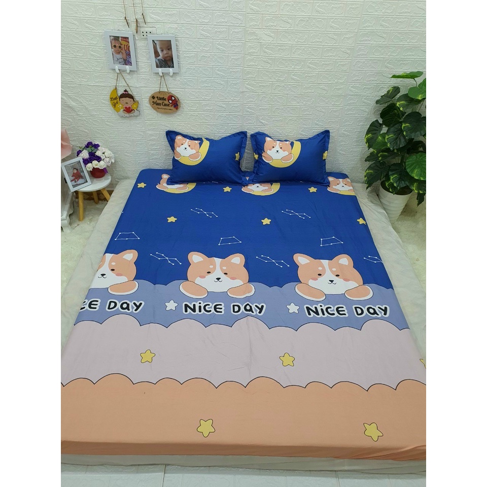 Bộ ga gối cottong poly hoa văn họa tiết dễ thương, Ga trải giường poly giá rẻ đủ kích thước