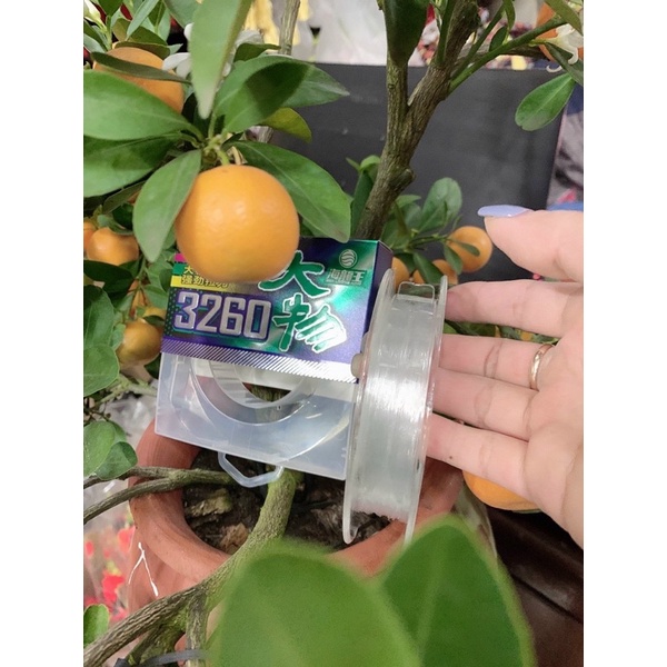 Cước săn hàng 3260 trắng xanh