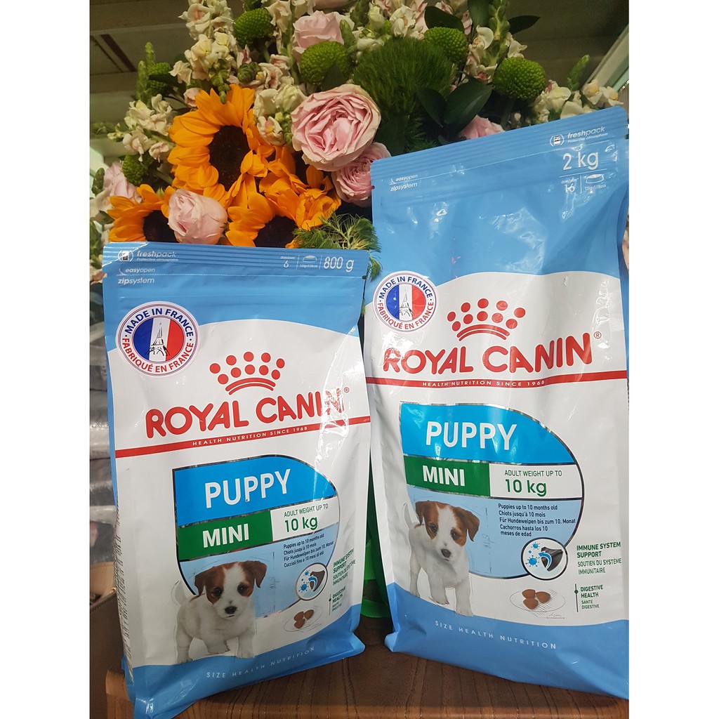 [THỨC ĂN] HẠT THỨC ĂN ROYAL CANIN ĐỦ LOẠI CHO CHÓ