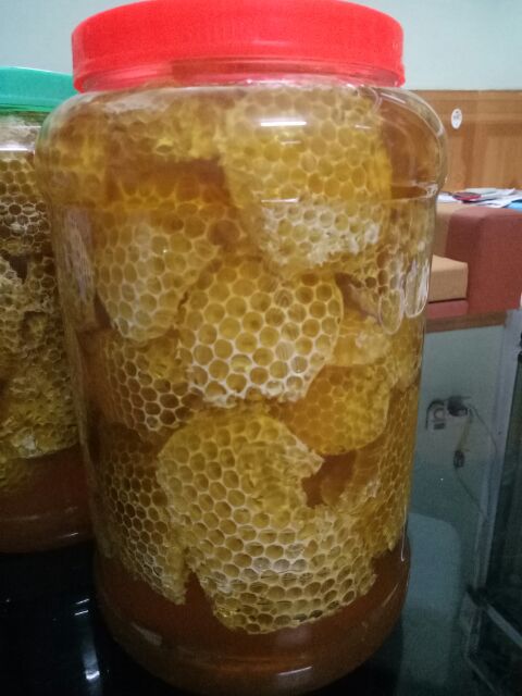 Mật ong rừng nguyên sáp hảo hạng 1kg