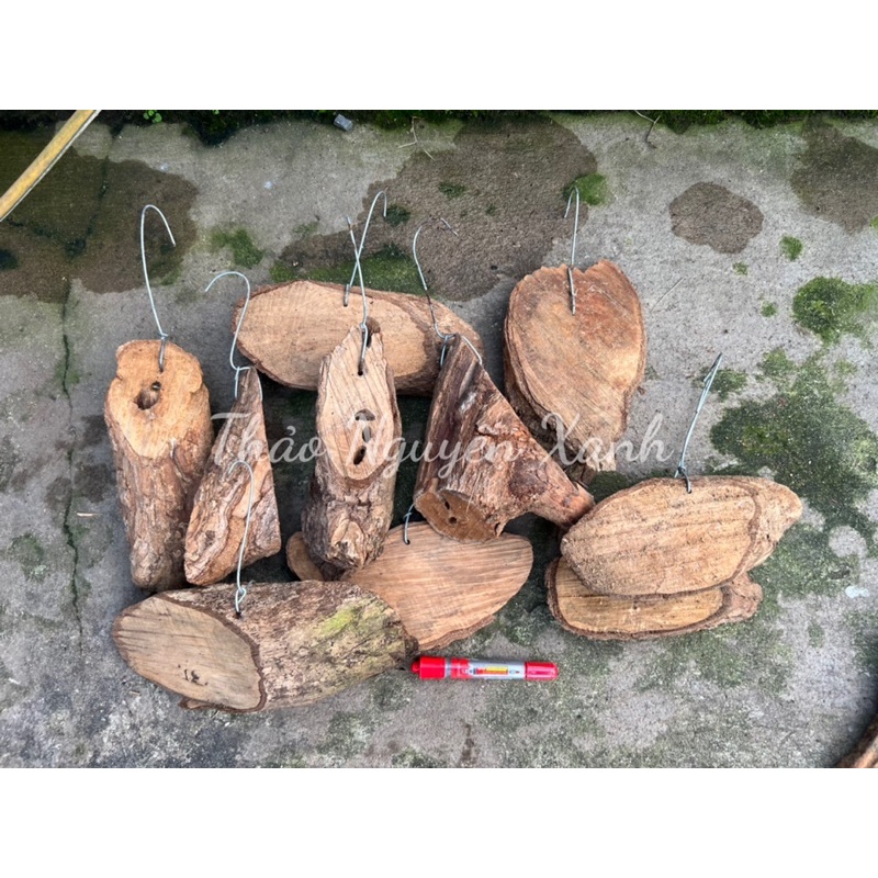 Bảng Gỗ Vú Sữa Trồng Lan