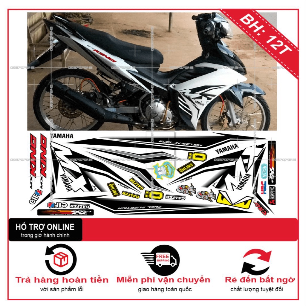 TEM RỜI EX 2011 MX KING -- SHIN DECAL 2