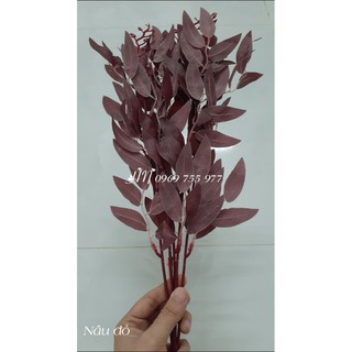 Lá bạch đàn