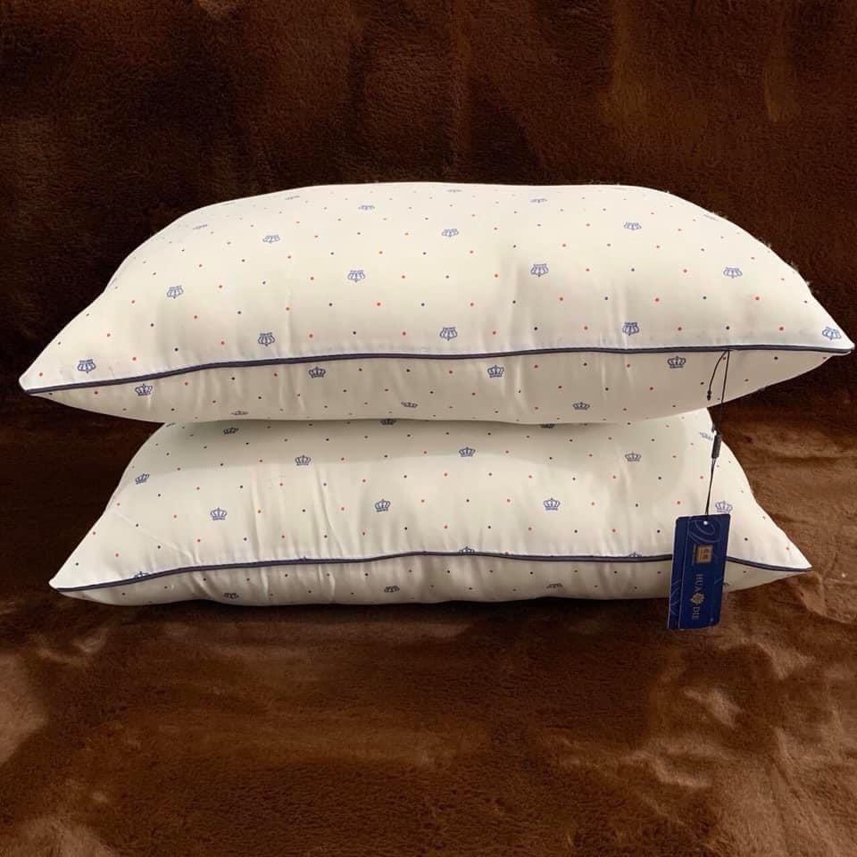 Cặp ruột gối nằm nhập khấu Hilton chuẩn loại 1 - chuẩn khách sạn 5 sao kích thước 50x70cm