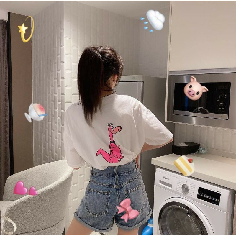 Áo thun tay lỡ Unisex khủng lông DINO