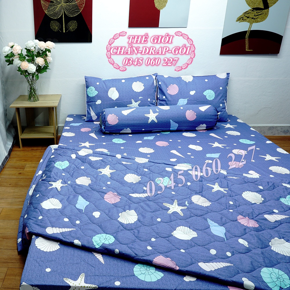 (RẺ VÔ ĐỊCH) Drap cotton Thắng Lợi, ga trãi giường (4 món) có in logo chính hãng SÒ BIỂN
