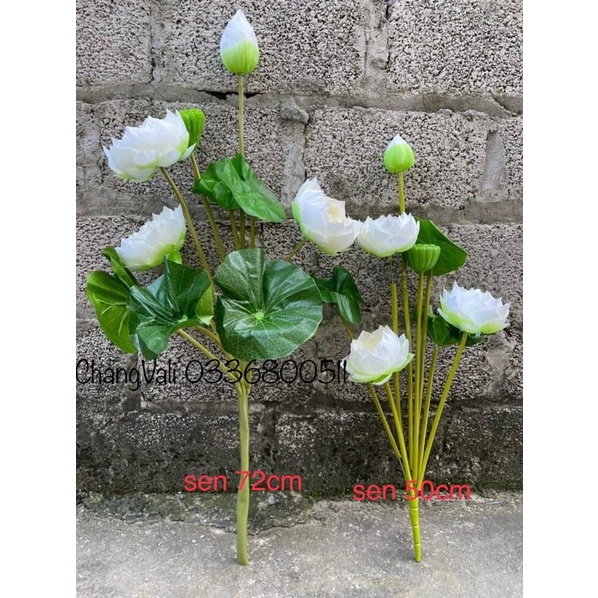 Cành sen cỡ lớn 3 hoa,1 nụ, dài 72cm hàng thái loại sịni