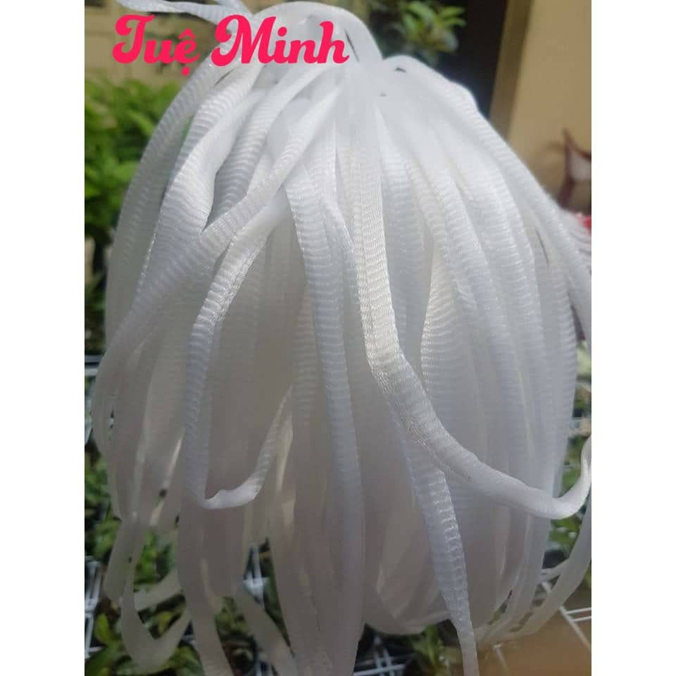 (Tặng miếng bẫy côn trùng dùng thử) 1 kg phân tan chậm, 10m túi lưới, 1 chế phẩm Hùng Nguyễn