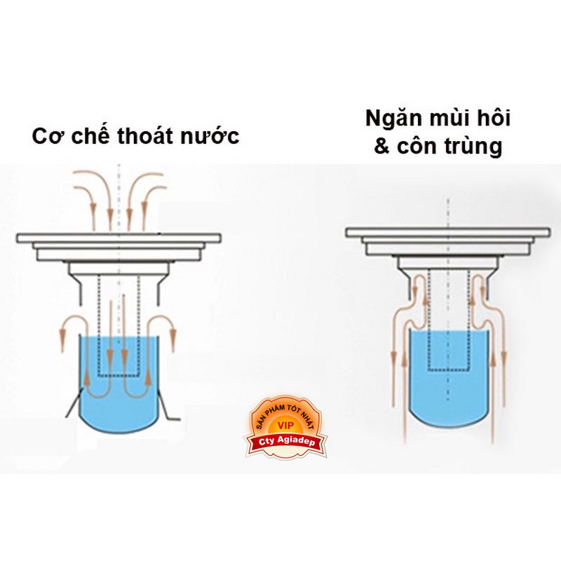 Phễu thoát sàn ngăn mùi Tân cổ điển - Hàng Siêu Cao cấp ITALIA 10x10cm Màu vàng