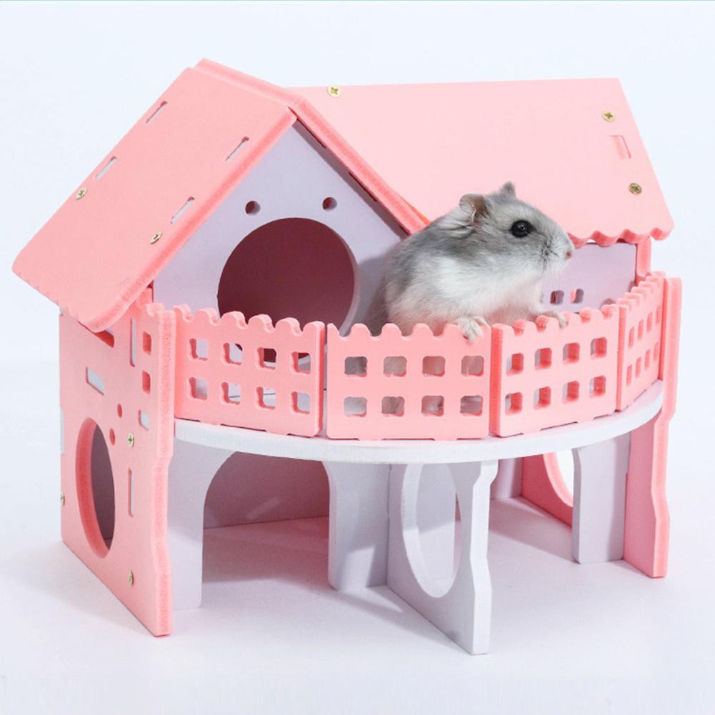 Thang gỗ đủ màu cho chuột hamster