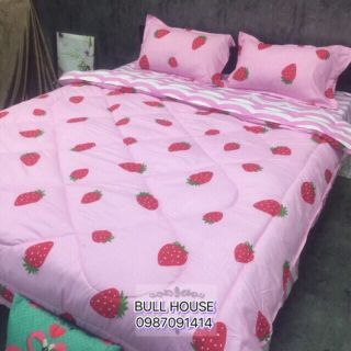 Sét chăn phao ga chun dâu tây