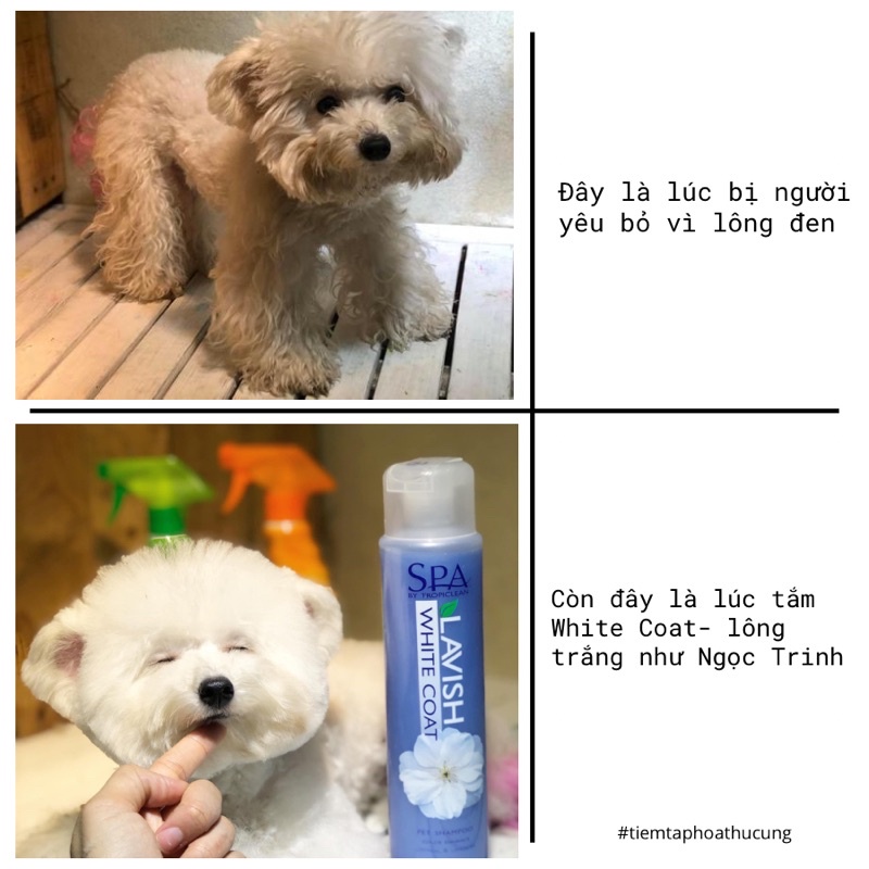 Sữa tắm cho chó mèo lông trắng SPA WHITECOAT Tropiclean 473ml