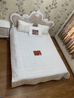 Ruột Chăn Hè Thương Hiệu AMada Lông Vũ