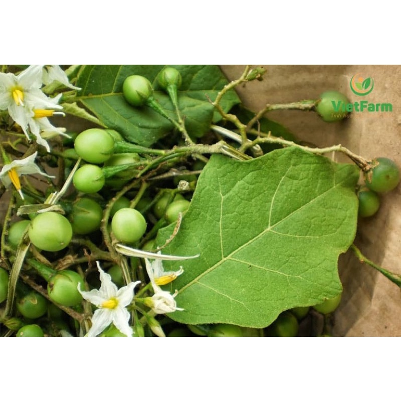Cà dại hoa trắng 120k/3kg