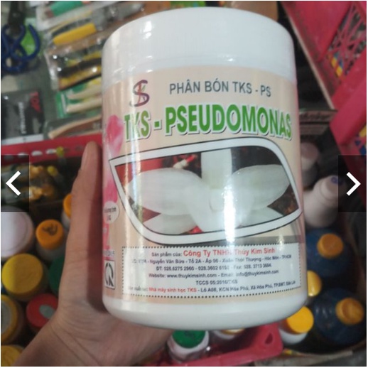 TRICHODERMA Và PSEUDOMONAS Hoa Lan Đối Kháng Nấm Khuẩn, Bảo Vệ Cây Trồng