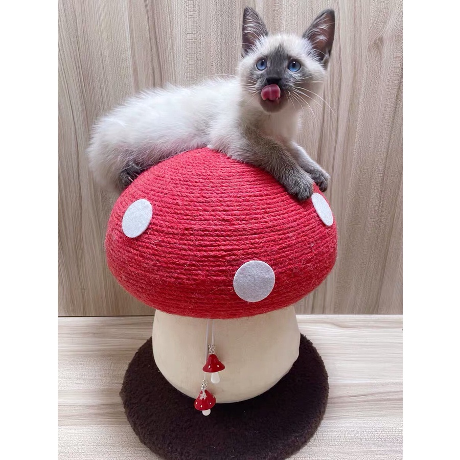 [Ảnh thật] Đồ chơi cào móng hình cây nấm cho thú cưng