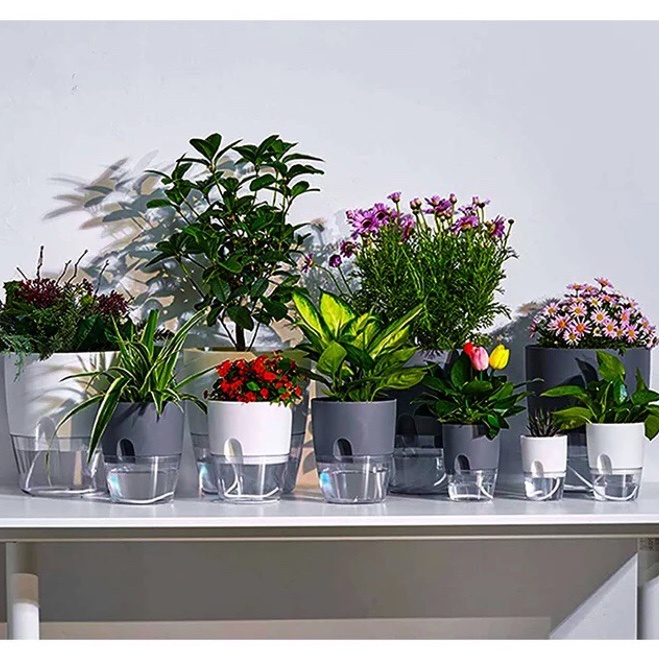 Chậu cây để bàn Oliz A7. Chậu trồng cây thông minh có chức năng tự tưới nước cho cây. Trang trí văn phòng, bàn làm việc
