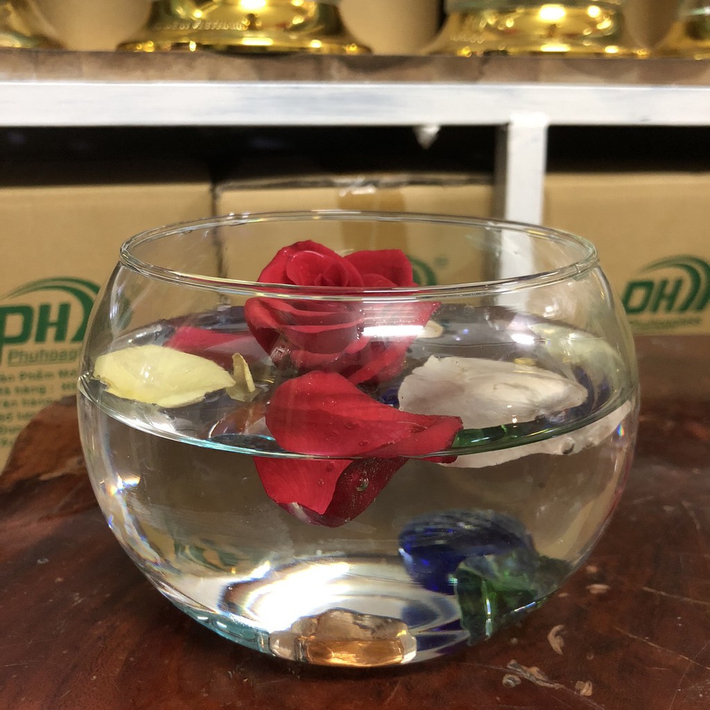 Mẫu Thố T01,T07 Chậu, Chân Ly, Bình, Hồ Bễ, Ống,Thố ,Bèo Thủy Tinh Trồng Cây Thủy Sinh và Nuôi Cá
