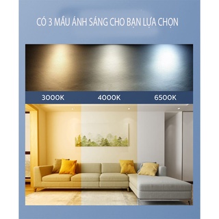 Đèn led âm trần Philips
