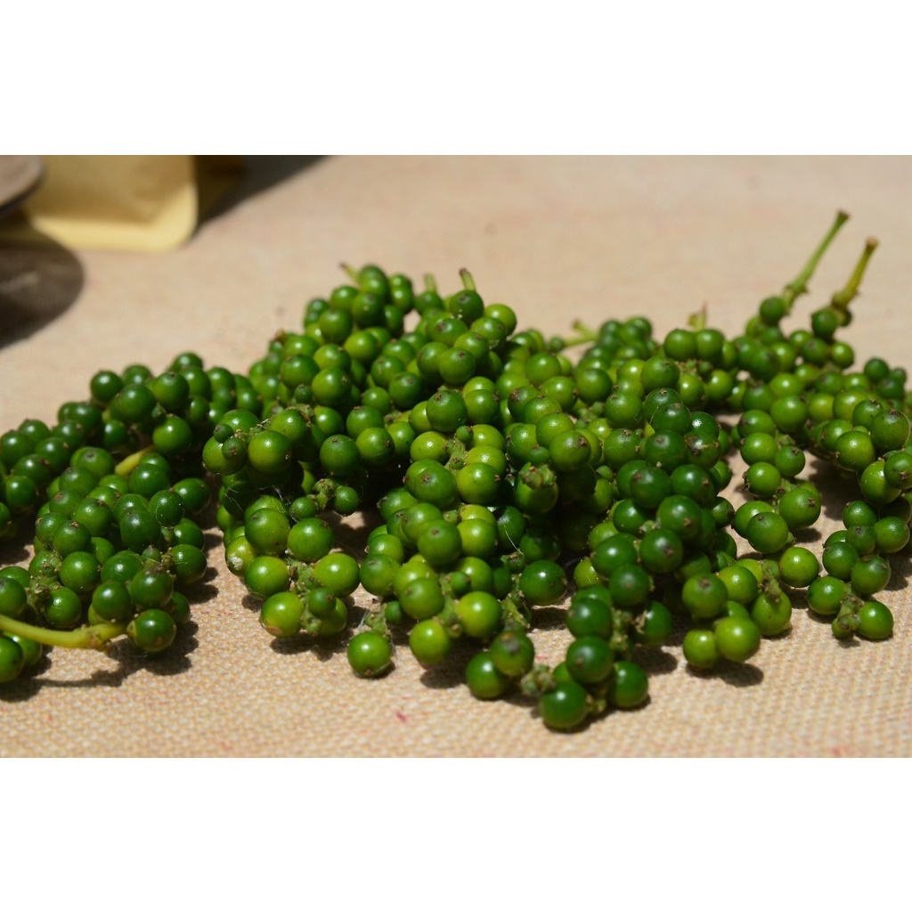 1 KG Tiêu xanh sạch nguyên chùm nhà trồng, vị thơm, cay, phù hợp ngâm mắm ớt, kho, làm bắp bò ngâm t