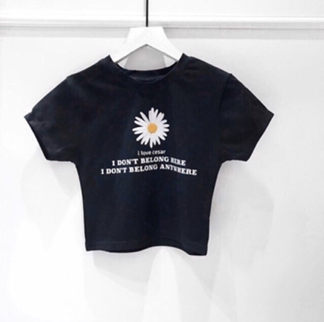 Áo croptop ôm thêu hoa cúc, hình thật 3 ảnh cuối