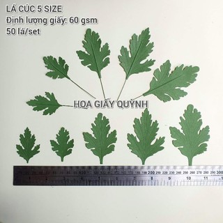 SET 50 LÁ CÚC 5 SIZE CẮT SẴN