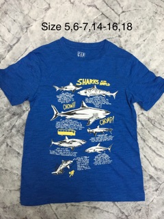 Áo Gap kid size đại cho bé trai
