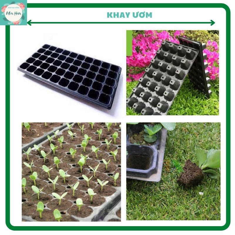 Khay ươm cây - hạt giống  (32 lỗ, 50 lỗ, 72 lỗ, 105 lỗ,128 lỗ)