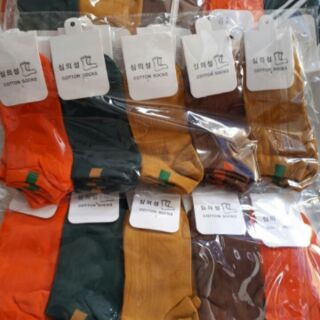 Tất cổ ngắn mã 508 combo 5 _10 đôi