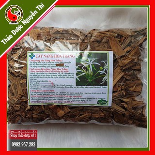 Cây náng hoa trắng giải pháp mới điều trị u xơ tiền liệt tuyến -1KG SP CTY Thảo Dược Số 1