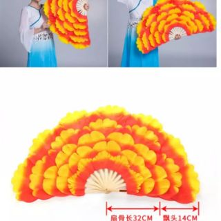 Quạt múa biểu diễn...