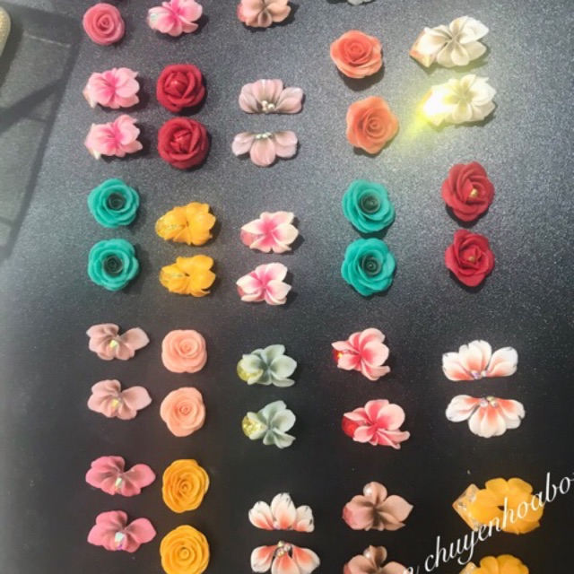 Hoa bột nail combo