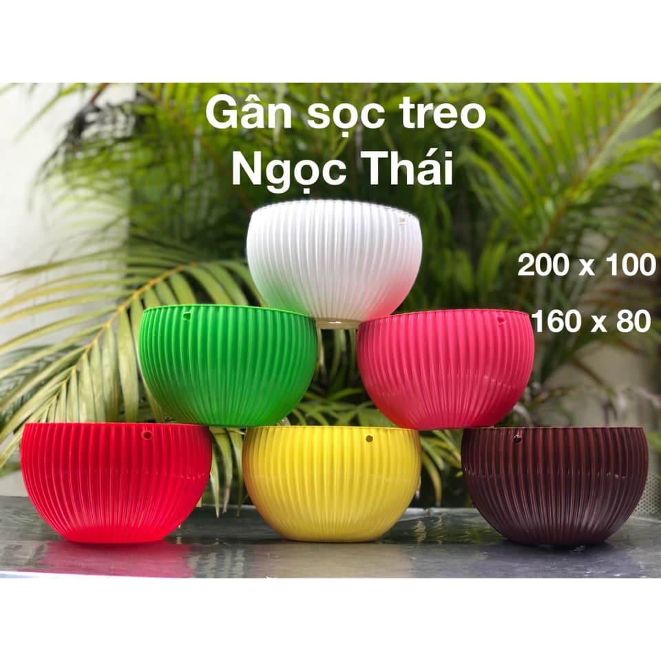 [Mẫu mới] Chậu gân sọc treo Tặng kèm dây treo siêu xinh