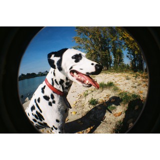 Máy ảnh Fisheye Hello Kitty Edition
