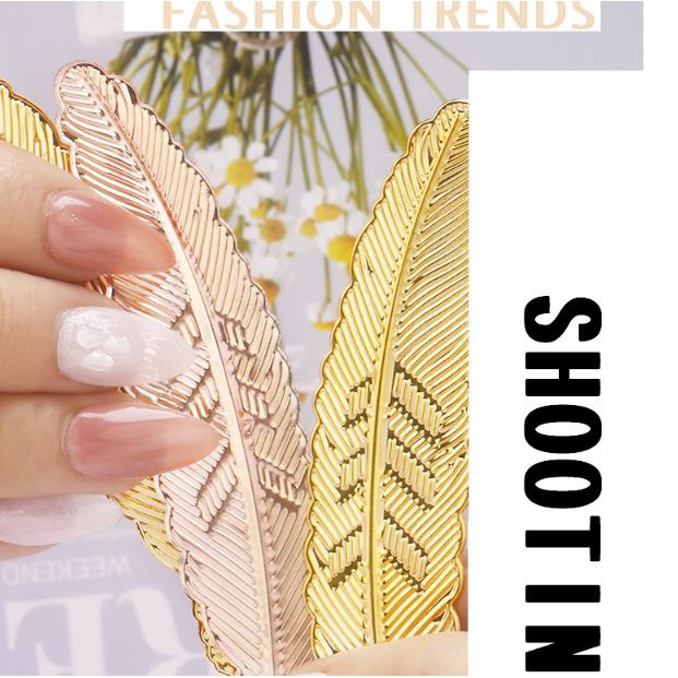 Lông chim chụp ảnh móng mẫu