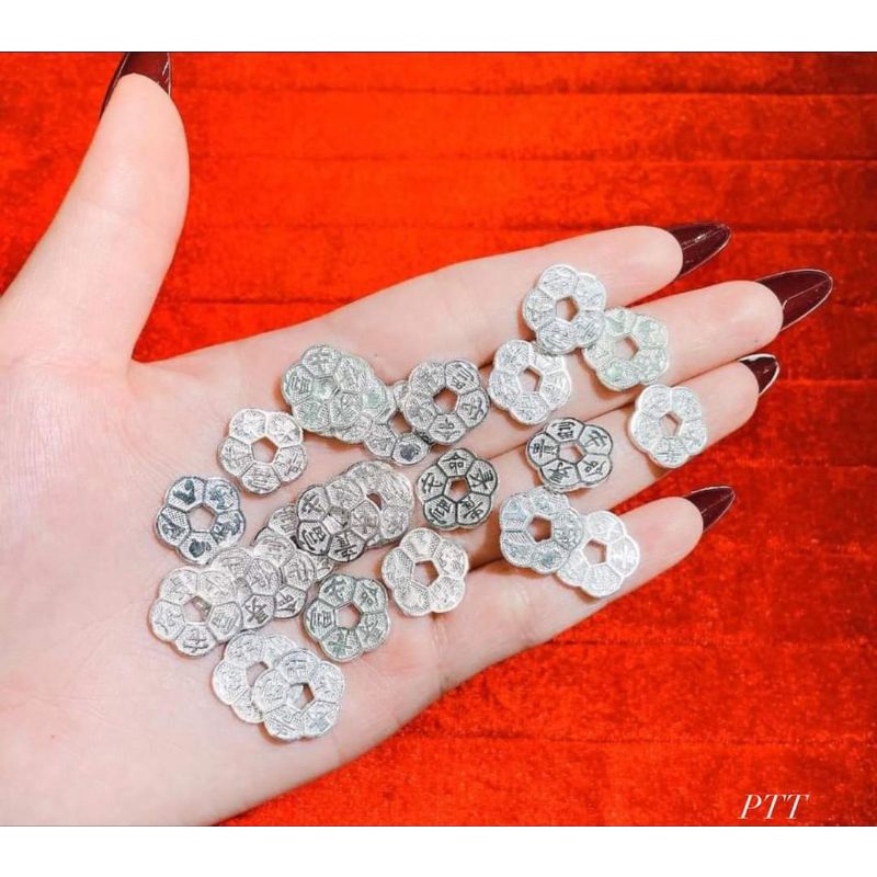 ĐỒNG HOA MAI KIM TIỀN BẠC TA PHÚ QUÝ TRƯỜNG THỌ