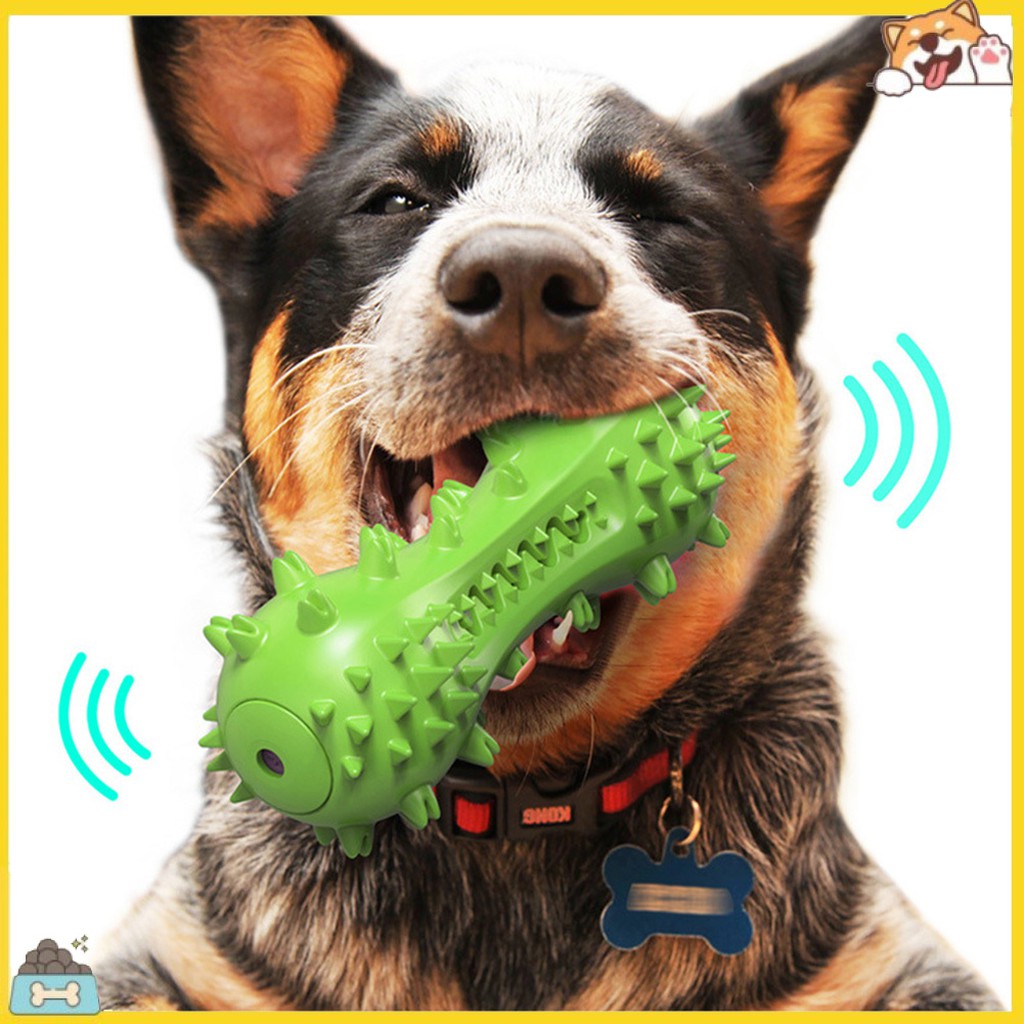 Đồ chơi nhai làm sạch răng vui nhộn cho cún cưng