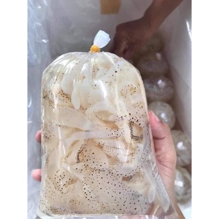 [hoả tốc HCM] SỨA BIỂN 1kg