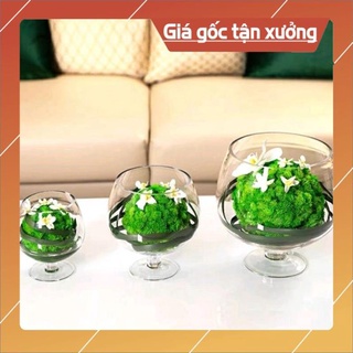 Ly bể trồng cây/cây thủy sinh/nuôi cá trang trí thuỷ tinh