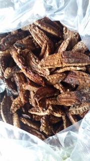 Chuối hột chín