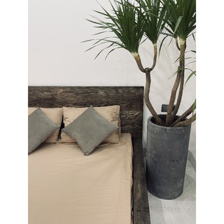 Bộ drap cotton lụa trơn 1 màu