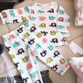 Bộ cotton giấy hàng QCXK cho bé