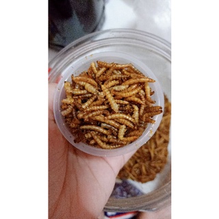 Thức ăn hamster dinh dưỡng