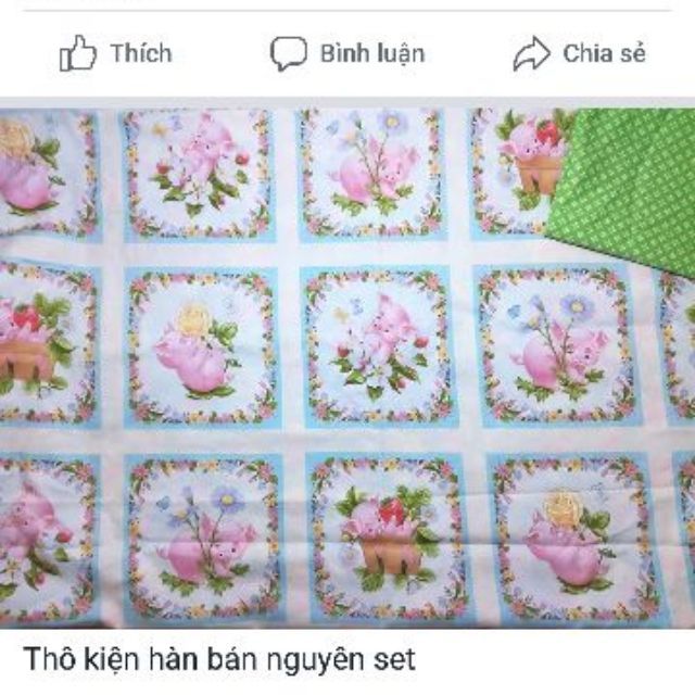 Set vải c jenny