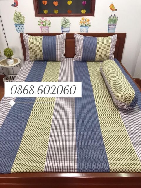 Combo 2 bộ drap giường cotton không chăn / mền