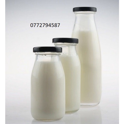 Combo 10 Chai Thủy Tinh Đựng Sữa Hạt | Thực Phẩm