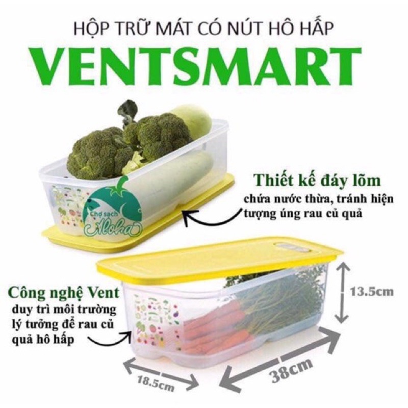 Hộp trữ rau củ có nút hô hấp Ventsmart size bự 6.1L