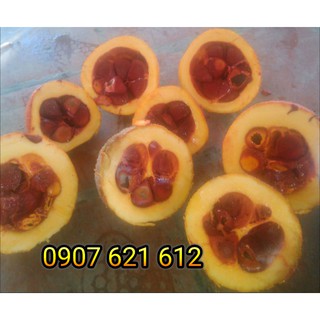 [Handmade][Làm Đẹp] 100ml Dầu gấc nguyên chất 100%