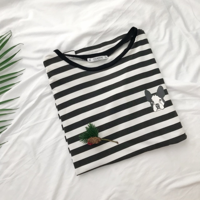 Áo thun bulldog pull&bear xuất kẻ ngang