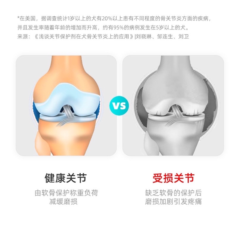 Vitamin Nourse 05 hỗ trợ xương khớp tái tạo sụn khớp cho chó NourseVietnam VN05